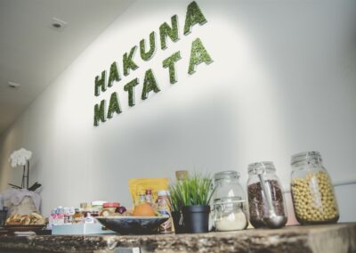 **** vakantievilla Hakuna Matata - logeren nabij Pairi Daiza- Geraardsbergen